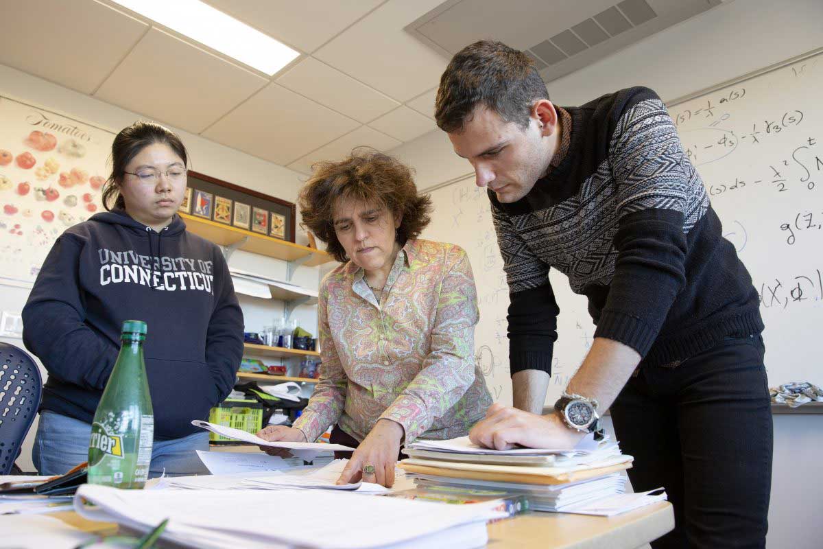 Research Groups